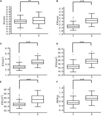 Genome-Wide Association Study of Kernel Traits in Aegilops tauschii